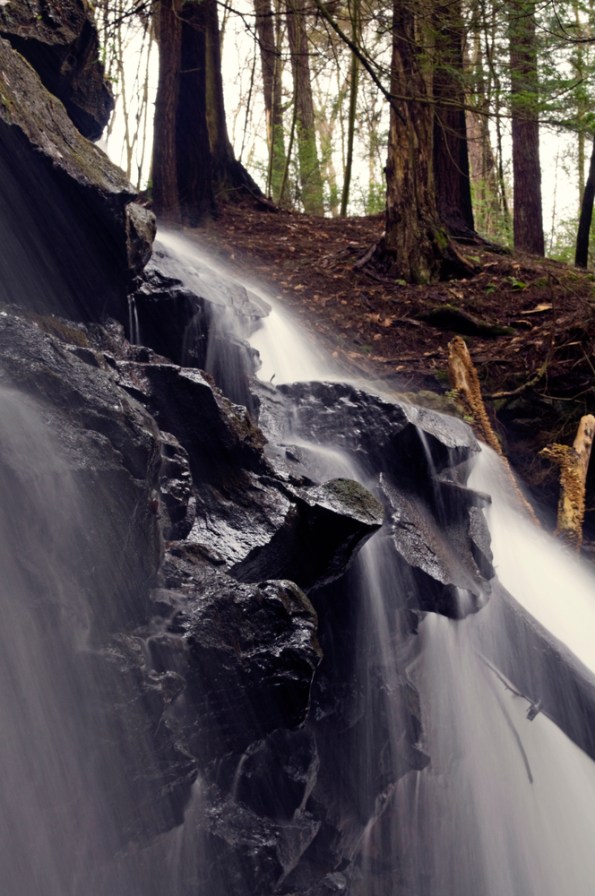 Potters_falls_-_a_close_up